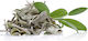 Sage 500gr