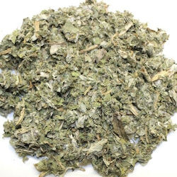 Herbstore Artichoke Thistle Scolymus Scolymus Common Dandelion Rose