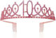 Birthday Party Crown Pink Gold 10 Pieces