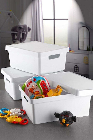 SteweHome Kunststoff Aufbewahrungsbox mit Deckel 10lt 3 Stück