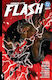 Absolute Flash, Vol. 2 PB