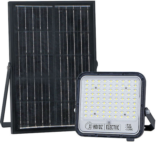 Horoz Electric Pro Smd Στεγανός Ηλιακός Προβολέας LED 100W Ψυχρό Λευκό 6400K με Τηλεχειριστήριο IP65