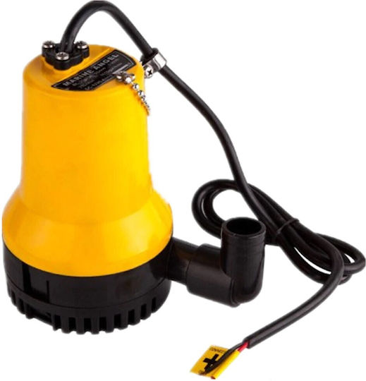 Pompa De Transfuzie De Ulei Pentru Barcă 12V