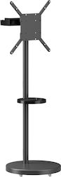Brateck FS38-44TWE Floor TV Mount Up To 65" Brateck FS38-44TWE Floor TV Mount Up To 65"