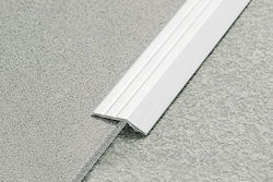 Τελειωμα Αυτοκ Lvt Dry Back 6α Ασημι