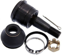 Piuliță Braț Control Spate Superior Nissan 350z Z33 2002.06-2008.10 Us 55502-al505 Piuliță Braț Control Spate Superior Nissan 350z Z33 2002.06-2008.10 Us 55502-al505