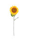 Sunfloewr Stem H 78 Cm