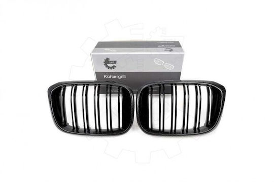 SKV Διακοσμητική Μάσκα Αυτοκινήτου BMW X3 (G01)