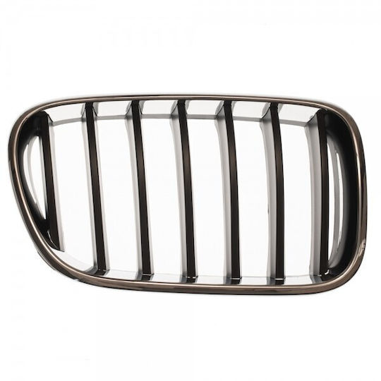 ABC Parts Decorative Car Grille BMW X3 (F25)