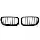 ABC Parts Автомобилна декоративна маска BMW X5 (F15)