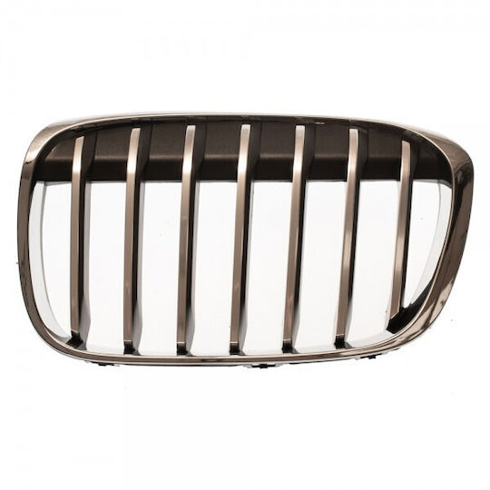 ABC Parts Decorative Car Mask BMW X1 (F48)