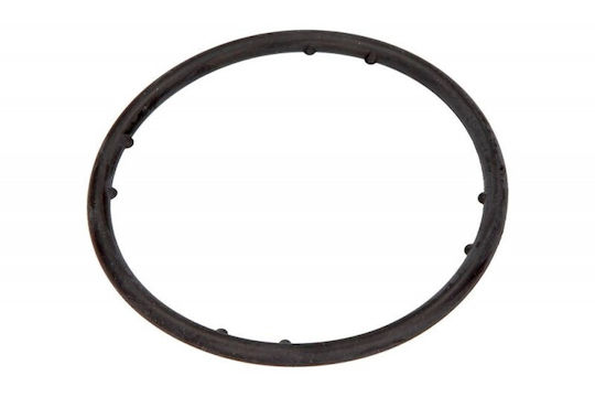 Φλάντζα Αντλίας Νερού Volkswagen Golf 2004-2009 62x4mm 045121119a