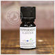 Atmoslab Konzentriertes Aroma 10ml 1 Stück Pepermint