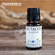 Atmoslab Nutacco Aromakonzentrate 10ml 1 Stück