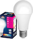 HOMie LED Glühbirne 8,5W für E27 Fassung Warmes Weiß 800lm