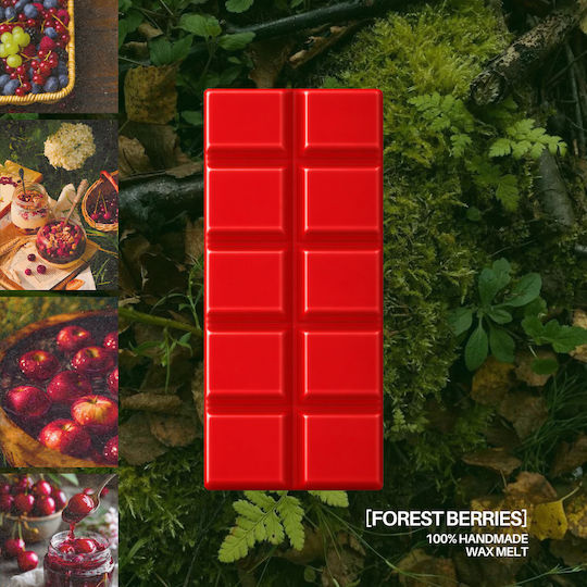 Forest Beeren – Wachsschmelze Snap Bar 35g