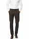 Chino Trousers in Regular Fit Brown