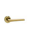 Viometale Buton WC Cu Rosette Pereche Oro Mat