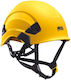 Petzl Vertex Helmet