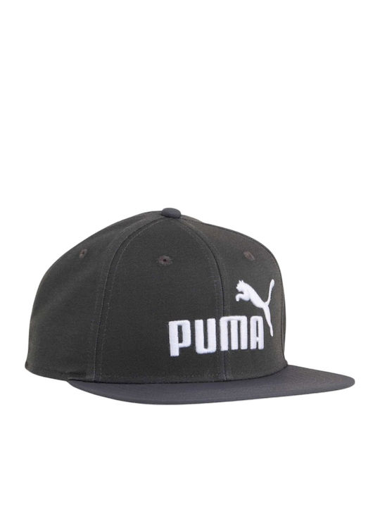 Puma Essential No 1 Logo Șapcă plată 025992-03
