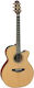 Takamine P3nc Nex Natural Satin & Soft Case