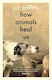 How Animals Heal Us Jay Griffiths Penguin Books Ltd
