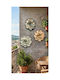 SteweHome Multicolour Plastic Wall Decor