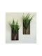 SteweHome Hanging Green Wooden Wall Decor 30x14cm 2 Pieces