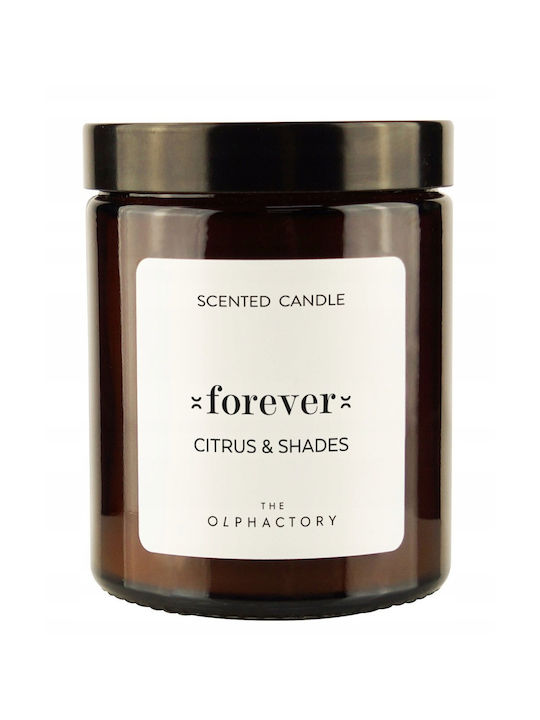 Ambientair Lacrosse Olphactory Forever Citrus & Shades Lumânare Aromatică Cu Miros De Citrice 135 G Unisex