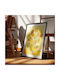 Poster Van Gogh Sunflowers Art116 40cm X 50cm Black Wooden Frame
