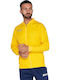 Herren Sweatshirt Mit Kapuze Gelb