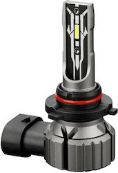 Lampa Λάμπα H10 Hb3 Hb4 12v Py20d P20d P22d 1550/900lm 6500k Halo Led Quick-fit Hyper Series Παθητική Ψύξη 1 Τεμάχιο L5768 L5768.6 L5768.6 Lampa Λάμπα H10 Hb3 Hb4 12v Py20d P20d P22d 1550/900lm 6500k Halo Led Quick-fit Hyper Series Παθητική Ψύξη 1 Τεμάχιο L5768 L5768.6 L5768.6