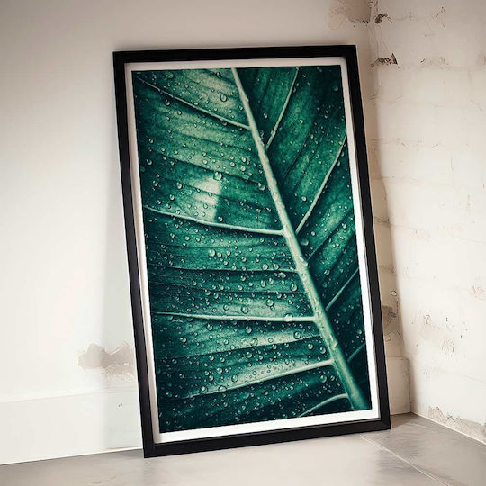 Poster Green Leaf Pst25150 40cm X 50cm Λευκή Ξύλινη Κορνίζα-60687pd156427f55310