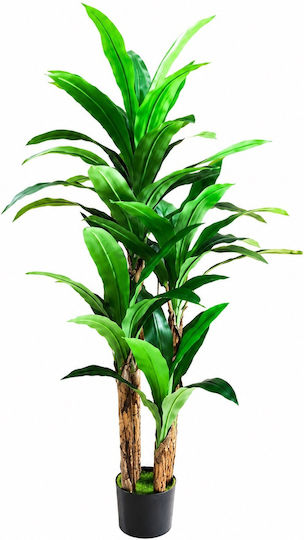 Künstliche Topfpflanze Dracaena 180cm Sds-25982