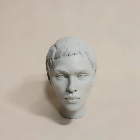 Άβαφη 3D Колекционерска Фигура Custom Head Collection Selina Kyle Batman Боядисване DIY Подарък Цветове 20 см 1:8