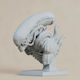 Άβαφη 3d Φιγούρα Alien Couple Bust Βάψιμο Diy Δώρο Χρώματα 20 Cm 1:8