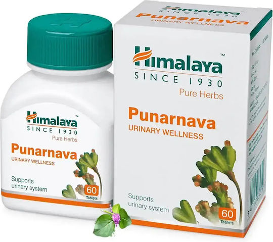 Himalaya Wellness Ειδικό Συμπλήρωμα Διατροφής 60 ταμπλέτες