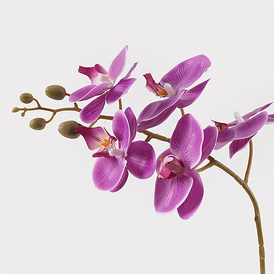 Decorative Potted Plant Orchid Beauty Inart 30x13x46 Cm