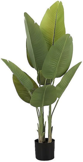 Dekoratives Künstliches Topfpflanze Streliczia 120cm