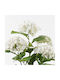 Διακοσμητικό Φυτό Γλάστρα Hydrangea Inart Λευκό Φ 35x35x50 Cm