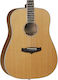 Tanglewood Tw28clnlh Evolution Акустична китара Black / White / Natural / Natural Satin