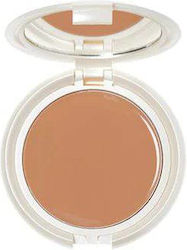 CBN Laboratories Source Beaute Kompakt Foundation 29 10g