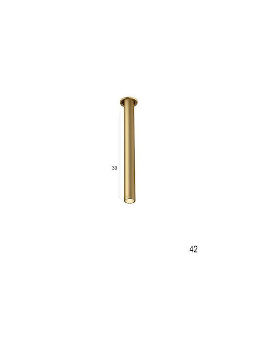 Luma Metallic Recessed Spot with Built-in LED and Warm White Gold Light
