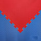 Olympus Sport Gym Puzzle Mat Double Sided Red/Blue 108x108x2.5cm 1pc