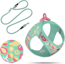 Dog Harness Curli Air Mesh Special Edition 2026 3XS Juicy Fruits Turquoise Dog Harness Curli Air Mesh Special Edition 2026 3XS Juicy Fruits Turquoise