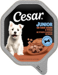 Cesar Wet Food 150gr Cesar Wet Food 150gr