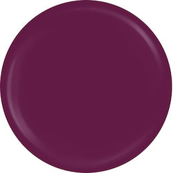 SensoPro Falsche Nagelgel Farb Burgundisch Wine...
