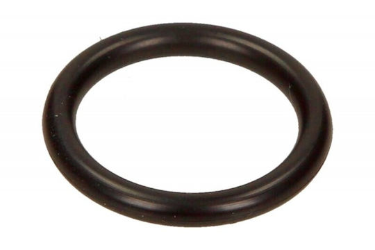 BMW 7 E38 X5 E53 WG1189725 Cooling Pipe Gasket