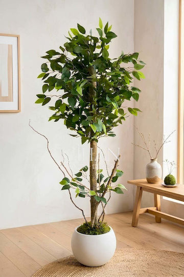 Stewehome Artificial Tree Round Pot Decorative Living Room Plant White