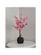 Stewehome Small Balcony Tree Pink Leaves Pink